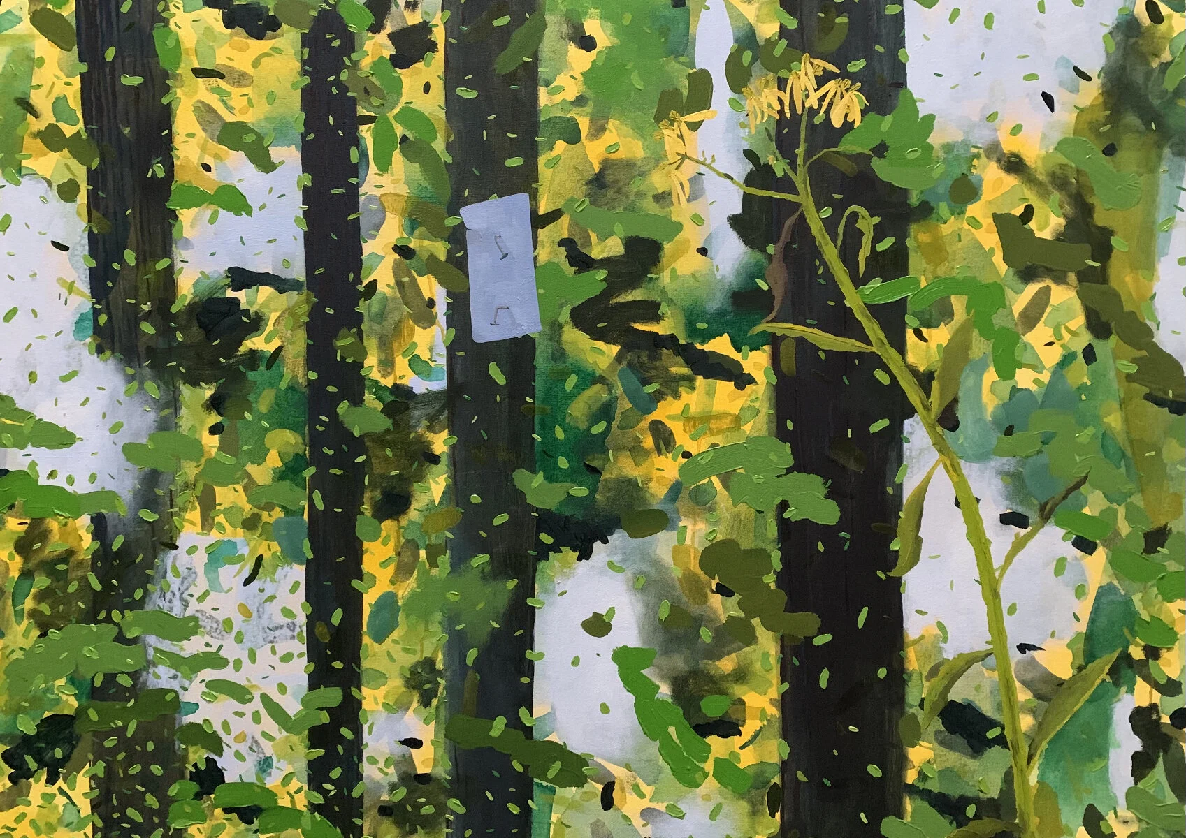 O06-Blue blaze and yellow ironweed