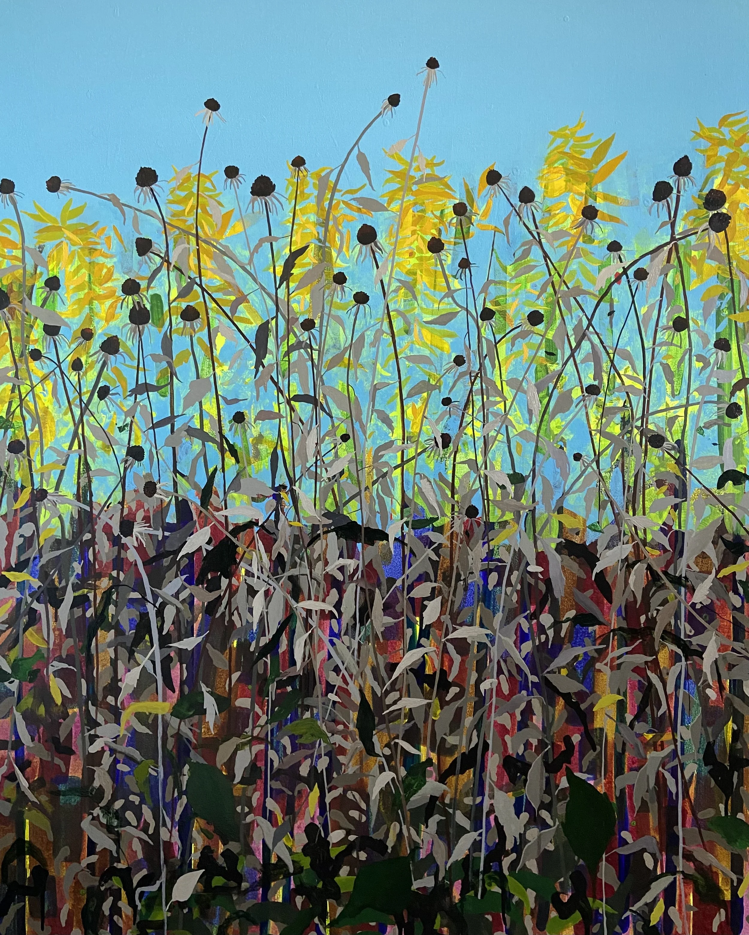 O20-Rain garden (Bentonville)