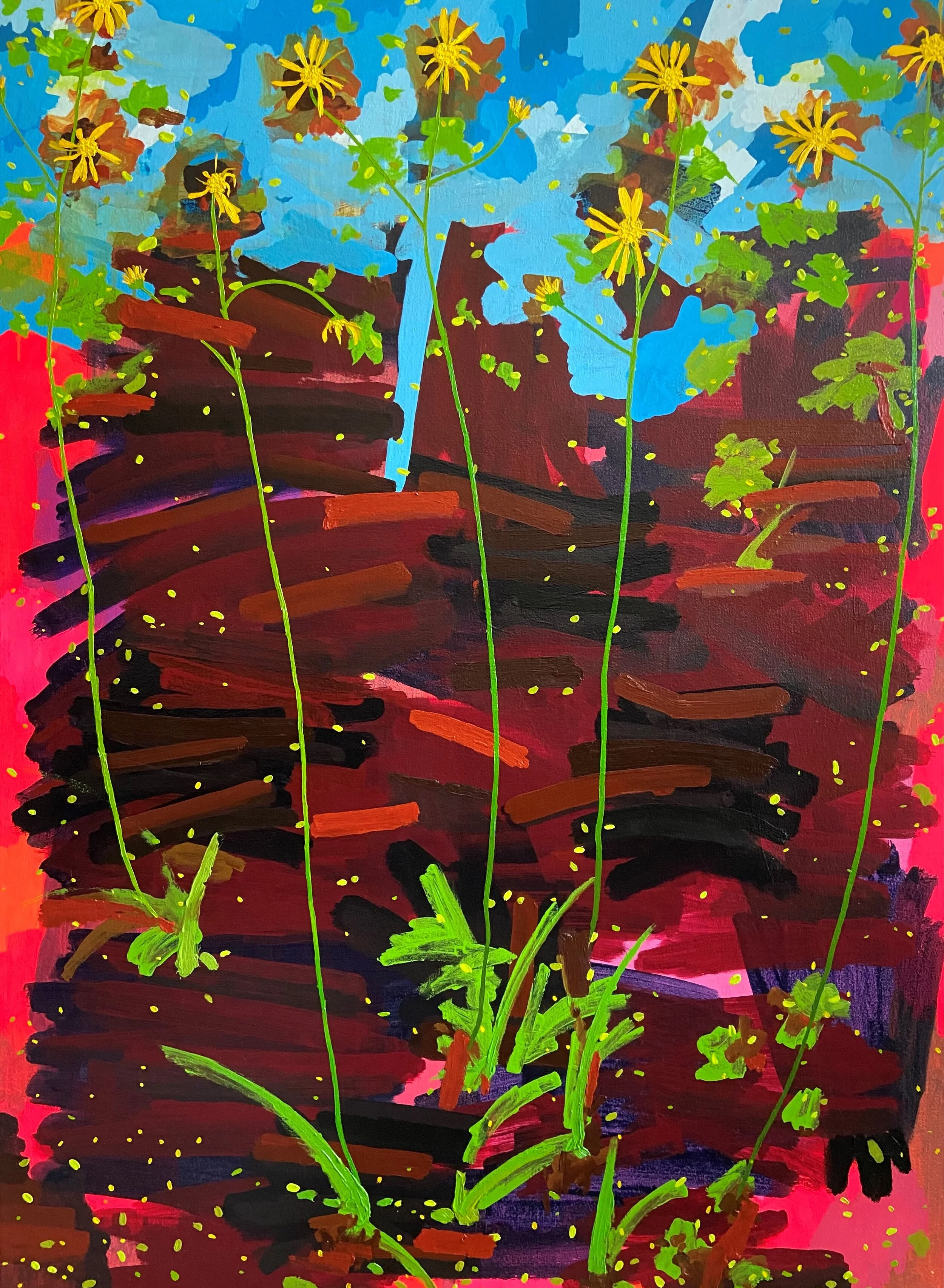 O15-Golden Groundsel
