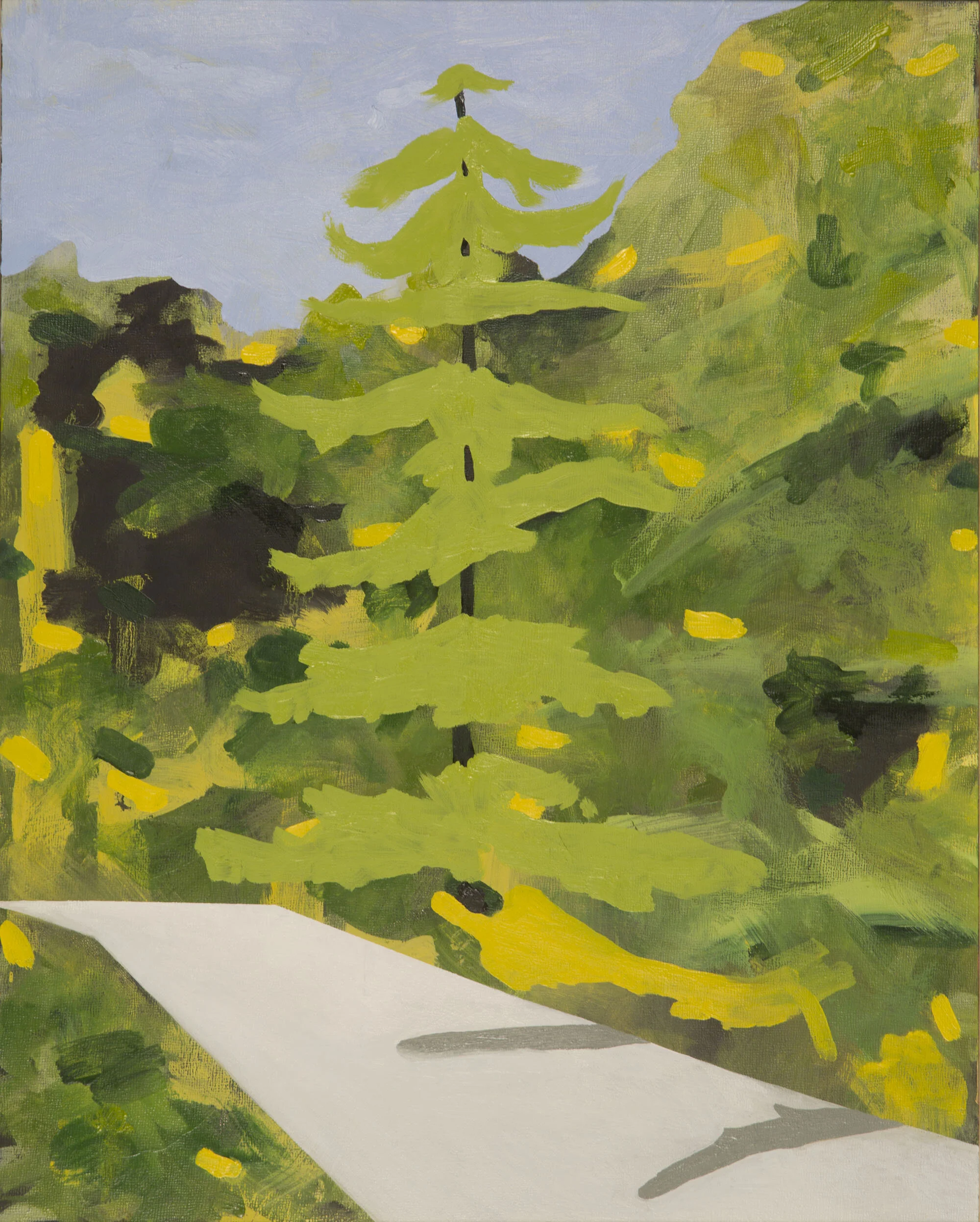 D22-Verdure