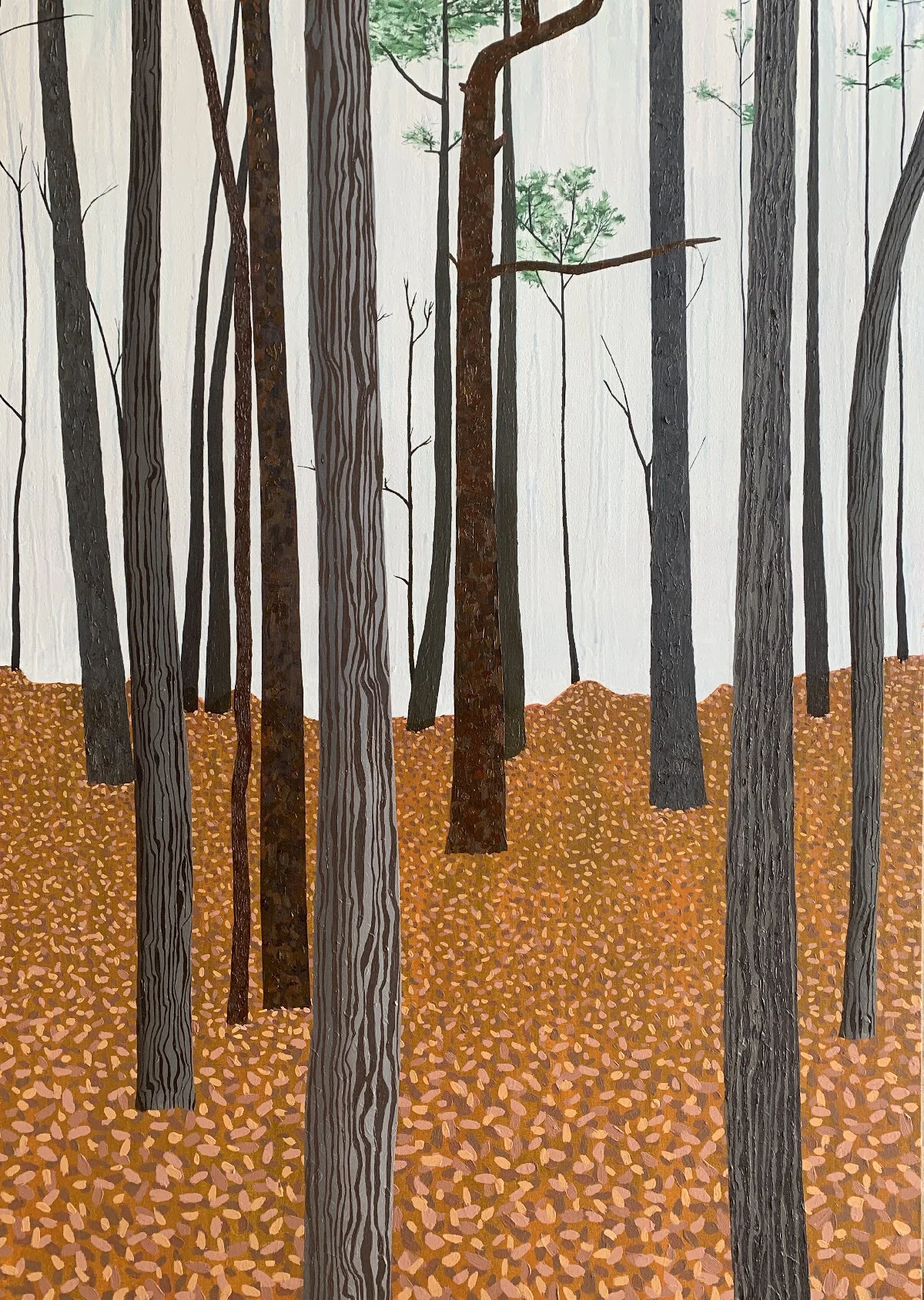O04-Shaddox Hollow, Winter