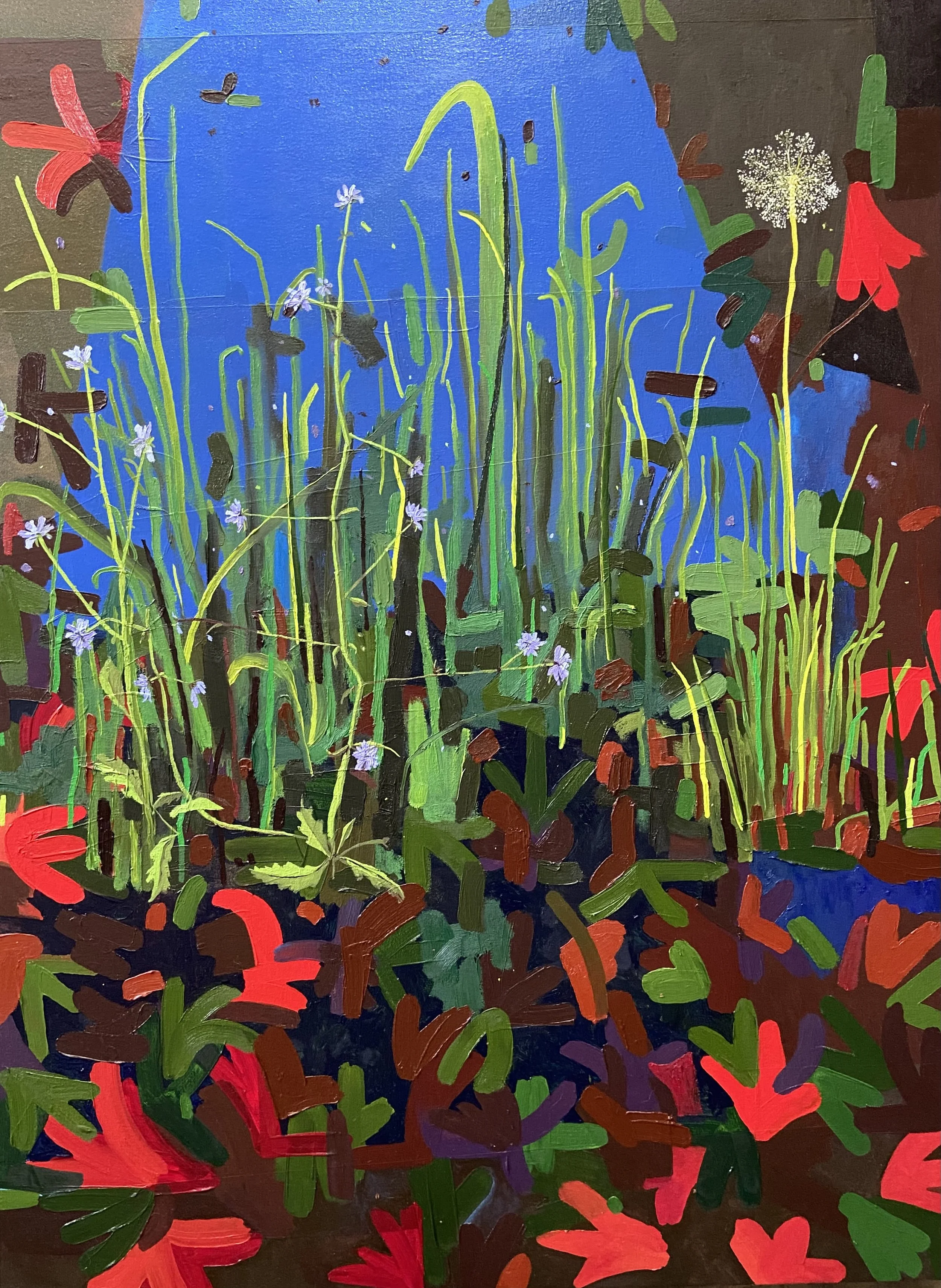 O18-Roadside Wildflowers
